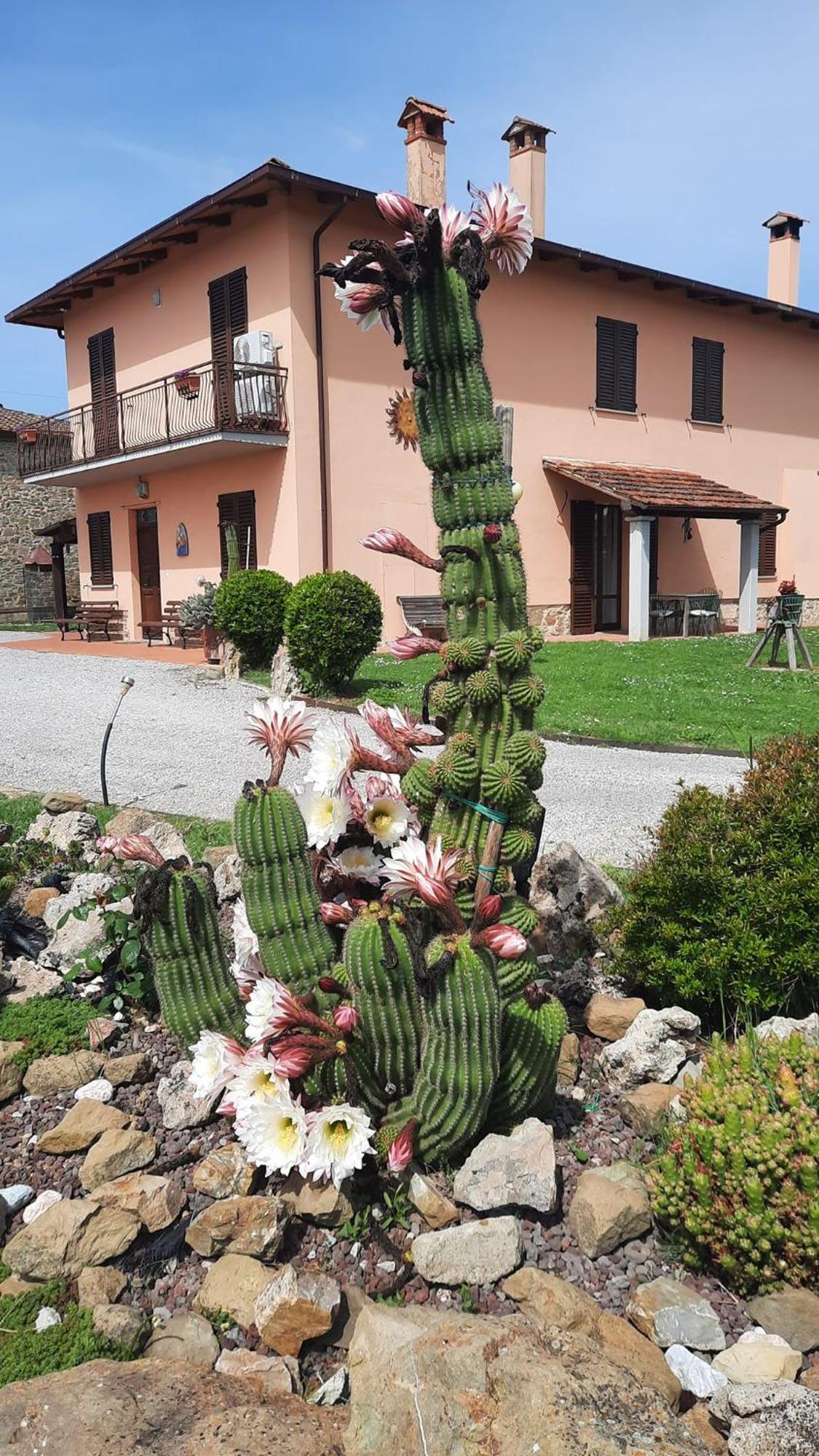 Il Casale Di Lucullo Villa Lucignano Dış mekan fotoğraf